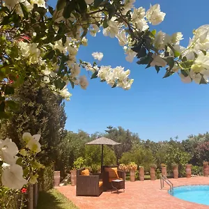 Hotel Apollonia - Blissful Garden Paradise With Pool Nestled In Nature, Essaouira